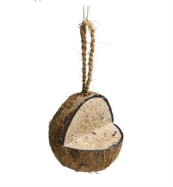 Kokosnød med fedt - platform